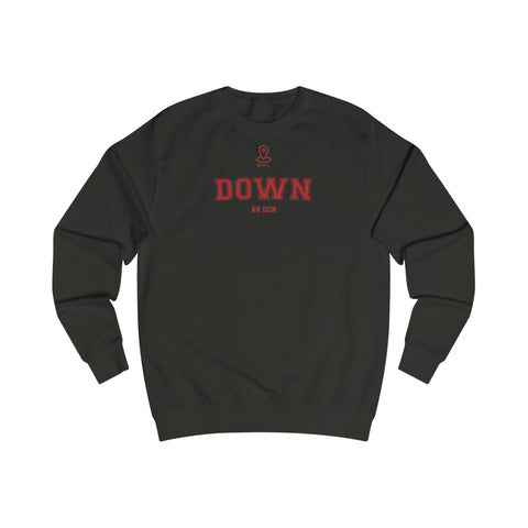 Down NEW STYLE Unisex Adult Sweatshirt