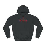 Down NEW STYLE Unisex Adult Hoodie