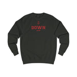 Down NEW STYLE Unisex Adult Sweatshirt