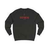 Down NEW STYLE Unisex Adult Sweatshirt