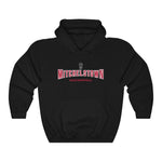 Mitchelstown Unisex Adult Hoodie (3XL - 5XL)