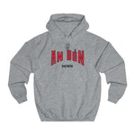 Down Unisex Adult Hoodie